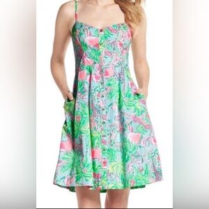 Lilly Pulitzer Easton Sleeveless A-Line Sun Dress Size 00